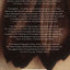 By Nightfall: A Novel