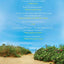 Beautiful Day: A Novel