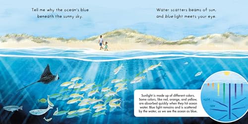 Tell Me About Oceans