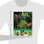 Encyclopedia of Aquarium Plants by Peter Hiscock