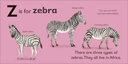 Z is for Zebra (The Animal Alphabet Library)