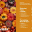Big Vegan Flavor: Techniques and 150 Recipes to Master Vegan Cooking