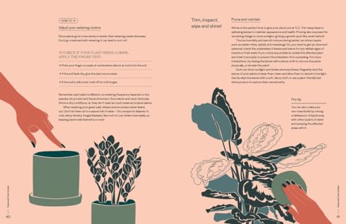 The Plant Parent Guide: Create a beautiful, plant-filled home