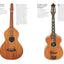 Guitar: The Worlds Most Seductive Instrument