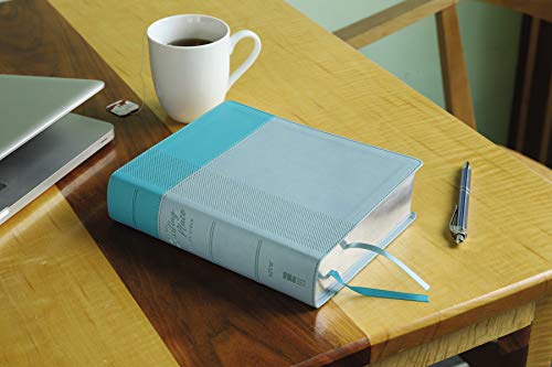 NIV, Starting Place Study Bible (An Introductory Study Bible), Leathersoft, Teal, Comfort Print: An Introductory Exploration of Studying God's Word