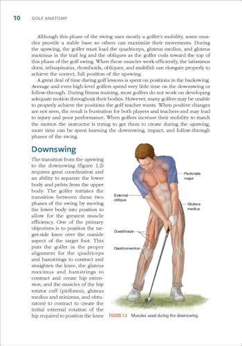 Golf Anatomy