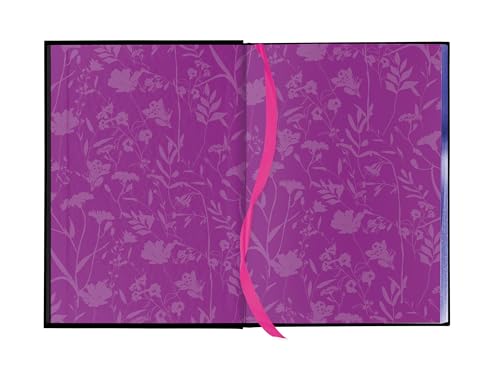 Fairy Tale Retellings, Volume I
