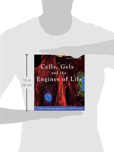 Cells, Gels and the Engines of Life: A New Unifying Approach