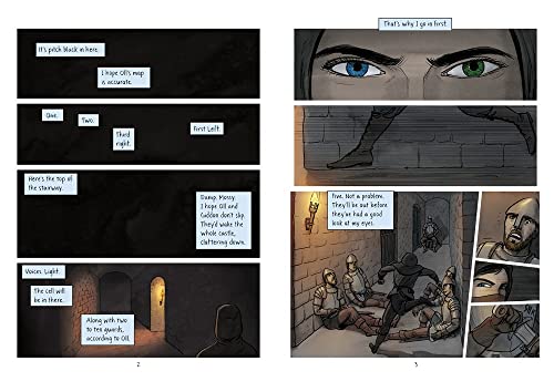 Graceling Graphic Novel