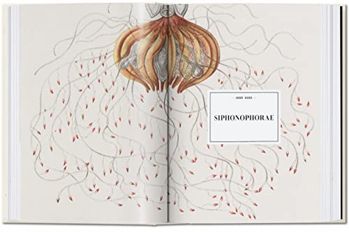 The Art and Science of Ernst Haeckel: 45th Ed. (45th Edition)