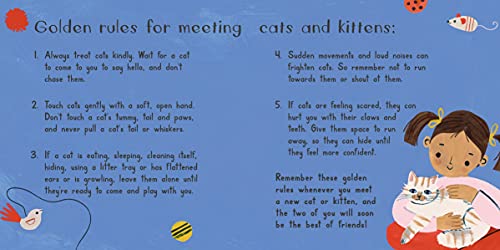 Cat Chat: How cats tell us how they feel