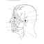 Complete Anatomy Coloring Book: Newly Revised and Updated Edition (IMM Lifestyle Books) Over 150 Diagrams, Illustrates All of the Body's Systems, Details Points of Origin and Insertion