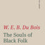The Souls of Black Folk (The Norton Library)