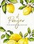 A Prayer for Every Occasion: A Collection of Inspiration