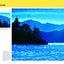 Painting: Acrylic Basics: Master the art of painting in acrylic (How to Draw & Paint)