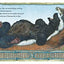 Honey... Honey... Lion! A Story from Africa (Rise and Shine)