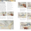 David Bellamy's Landscapes through the Seasons in Watercolour