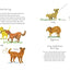 Our Very Own Dog: Taking Care of Your First Pet Read and Wo
