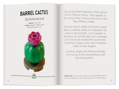 LEGO Botanicals: Tiny Desert Garden