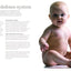 Amazing Baby