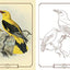Beautiful Birds Coloring Book (Sirius Classic Nature Coloring)