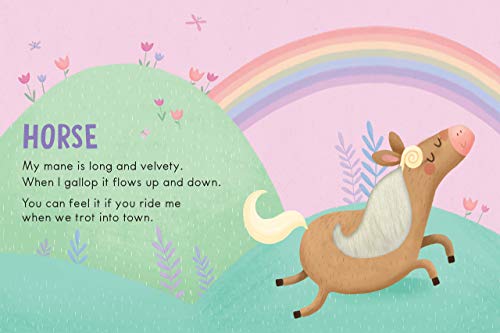 Farm Animals: A Touch and Feel Book - Childrens Board Book - Educational