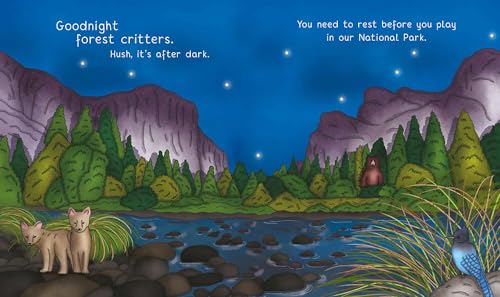 Night-Night America: A Sweet Goodnight Board Book for Kids and Toddlers