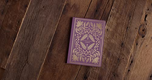 ESV Illuminated Scripture Journal: John