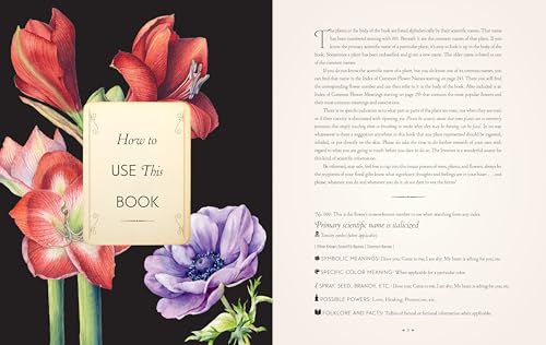 The Complete Language of Flowers: A Definitive and Illustrated History (Volume 3) (Complete Illustrated Encyclopedia, 3)