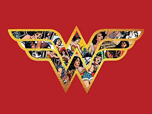 DC Comics: Wonder Woman Blank Boxed Note Cards