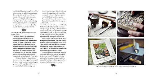Angie Lewin: Plants and Places