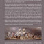 The Sacred in the Modern World: A Cultural Sociological Approach