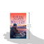 Summer Nights (Fool's Gold, Book 8)