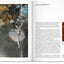 Edgar Degas: 1834-1917: on the Dance Floor of Modernity