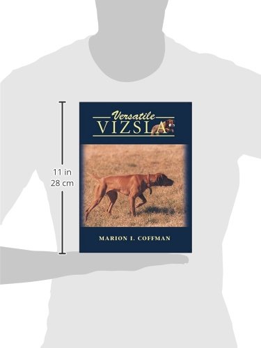 Versatile Vizsla