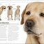 The Complete Dog Breed Book, New Edition
