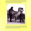 Christian the Lion: Based on the Best Selling True Story