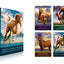 Misty of Chincoteague Essential Collection (Boxed Set): Misty of Chincoteague; Stormy, Misty's Foal; Sea Star; Misty's Twilight