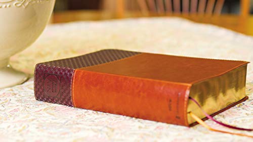 NIV Study Bible, Fully Revised Edition (Study Deeply. Believe Wholeheartedly.), Large Print, Leathersoft, Brown, Red Letter, Thumb Indexed, Comfort Print