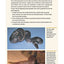 Understanding Reptile Parasites, 2nd Edition (CompanionHouse Books) Recognizing Mites, Harmful Protozoa, Tapeworm, and More in Snakes, Geckos, Turtles, and Other Reptiles (Advanced Vivarium Systems)