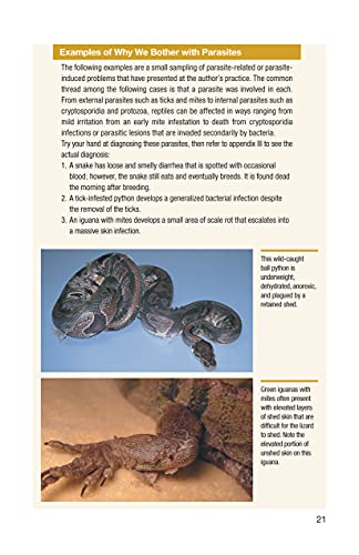 Understanding Reptile Parasites, 2nd Edition (CompanionHouse Books) Recognizing Mites, Harmful Protozoa, Tapeworm, and More in Snakes, Geckos, Turtles, and Other Reptiles (Advanced Vivarium Systems)
