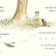 Insect Detective: Read and Wonder by Voake, Steve