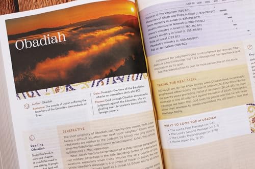 NIV Application Bible, Large Print, European Bonded Leather, Black, Red Letter, Indexed, Comfort Print: Bringing the Ancient Message of the Bible into Your World