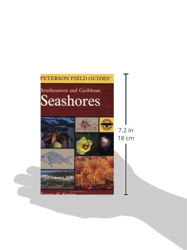 A Field Guide to Southeastern and Caribbean Seashores: Cape Hatteras to the Gulf Coast, Florida, and the Caribbean (Peterson Field Guides)