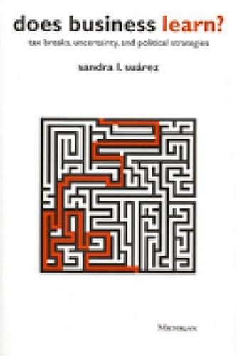 Does Business Learn?: Tax Breaks, Uncertainty, and Political Strategies