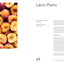 The Noma Guide to Fermentation: Including koji, kombuchas, s