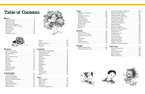 Big School of Drawing: Well-explained, practice-oriented drawing instruction for the beginning artist (Big School of Drawing, 1)