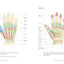 Gua Sha Scraping Massage Techniques: A Natural Way of Prevention and Treatment through Traditional Chinese Medicine