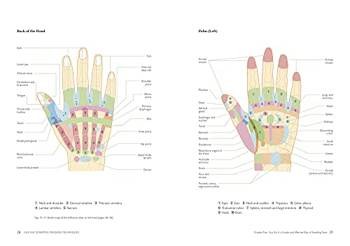 Gua Sha Scraping Massage Techniques: A Natural Way of Prevention and Treatment through Traditional Chinese Medicine
