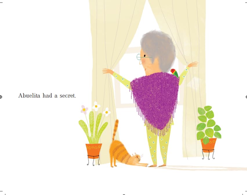 Reycraft Books Abuelita's Secret Book